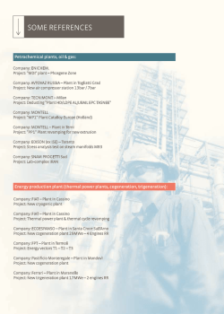 SOME REFERENCES - Siderplus. Engineering e consulting