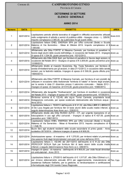 Anno 2014 - camporotondo etneo