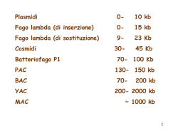 Plasmidi 0- 10 kb Fago lambda (di inserzione) 0