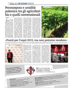 Peronospora e umidit&agrave; polemica tra gli agricoltori bio