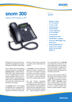 snom 300