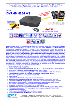 DVR 40 H264 WS