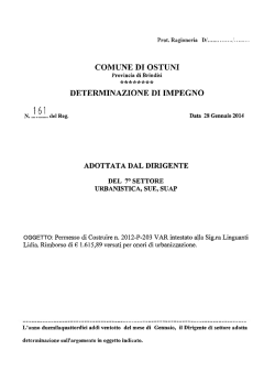 adottata dal dirigente