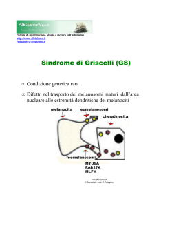 Sindrome di Griscelli (GS)