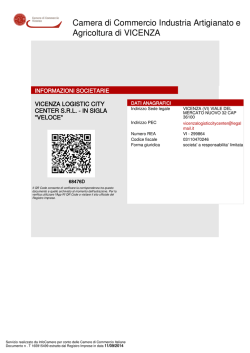 Bilancio Veloce 2013 in formato Documento PDF