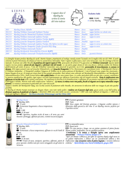 I vigneti dove il Riesling ha scritto la storia del vino