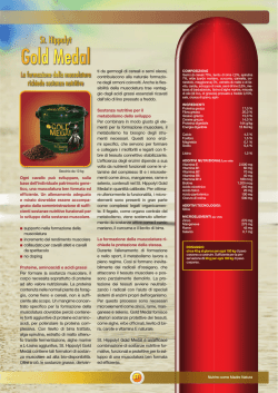 Gold Medal - St. Hippolyt