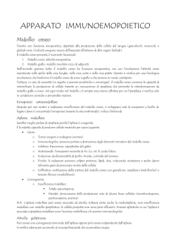 APPARATO IMMUNOEMOPOIETICO