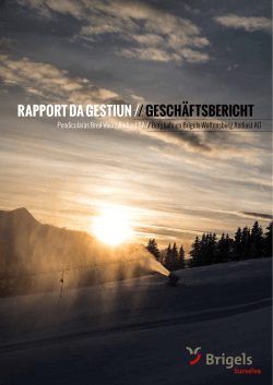 Gesch&auml;ftsbericht 13/14