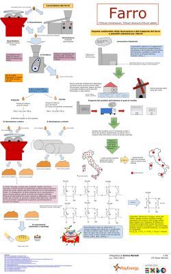 Farro infografica - Dalla Terra Alla Terra