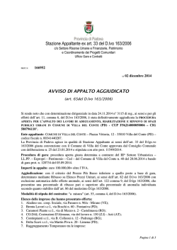 Stazione Appaltante ex art. 33 del D.lvo 163/2006