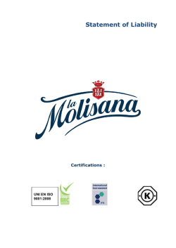 Statement of Liability pdf