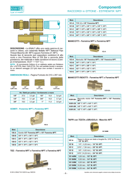 Raccordi in Ottone NPT