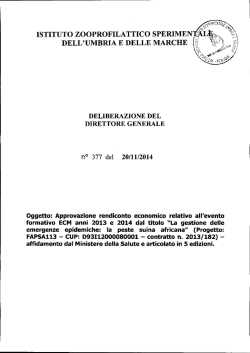DELIBERAZIONE DEL DIRETTORE GENERALE n&deg; 377 del 20/11