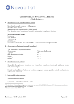 Conglomerato plastico invernale