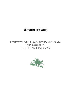 Protocol dalla radunonza generala dils
