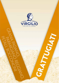 scarica il pdf - Consorzio Virgilio