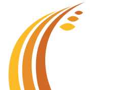 Scarica il catalogo (Pdf - 10Mb)