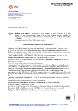 ENEL Distribuzione S.p.A.