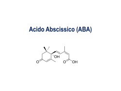 ABA - Dipartimento di Biologia