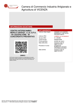 Bilancio CIS 2013 (in liquidazione) in formato Documento PDF