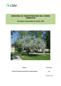 CSA - Manutenzione Verde
