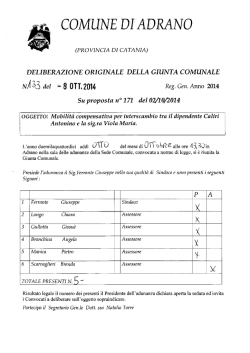 delgm.133 - Comune di Adrano