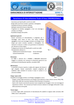 CATALOGO SERIE-FL Rev-00 _caracteristicas__IT