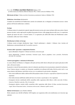 23.1.1 Crithmo maritimi-Staticion - prodromo della vegetazione d