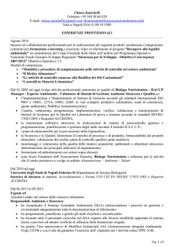 curriculum vitae