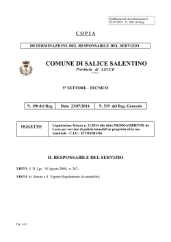 File: Determina n.539 - Comune di Salice Salentino