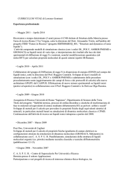 CURRICULUM VITAE di Lorenzo Gontrani Esperienza