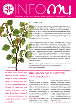 infomu - MU srl