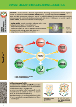 scarica la pagina del catalogo