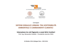 download - Centro Studi Idraulica Urbana