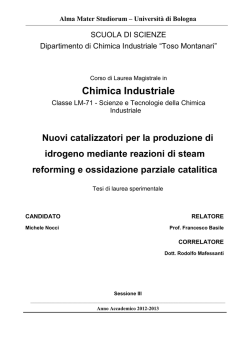 Documento PDF - AMS Tesi di Laurea