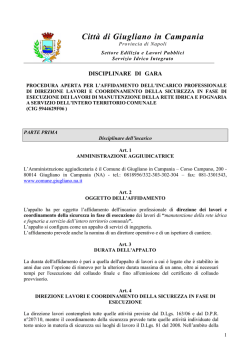 Disciplinare_di_gara DL CSE man rete idr fogn