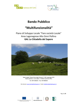 Bando Pubblico &ldquo;Multifunzionalit&agrave;&rdquo;