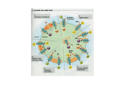 neurone