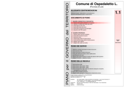 1.1 relazione del quadro conoscitivo e ricognitivo