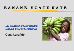 Banane - Croce del Sud