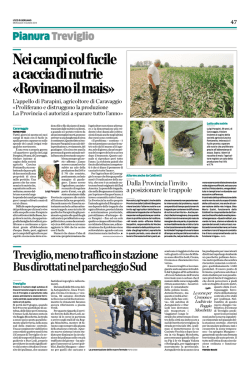 Nei campi col fucile a caccia di nutrie &laquo;Rovinano il mais&raquo;