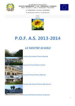 POF 2013-2014 - 7&deg; Circolo Didattico di Pozzuoli