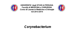 07.corynebacterium - Universit&agrave; degli Studi di Perugia