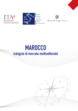 Marocco - Indagine di mercato multisettoriale