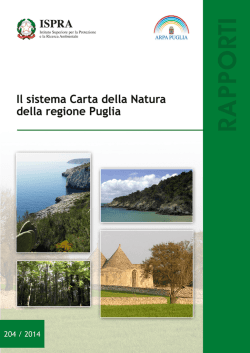 Scarica la pubblicazione (pdf - 13.2 mb)