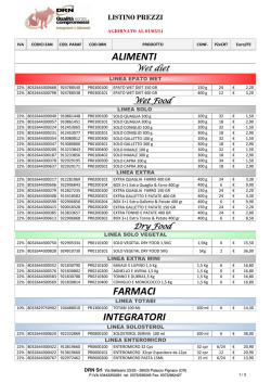 1 DRN Listino 03-2014.xlsx