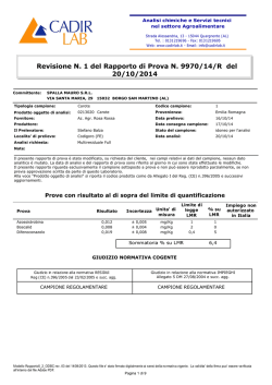 Seagate Crystal Reports - Rappo