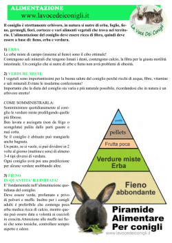 Verdure ricche di ossalati di calcio sono consigliate non più di 2