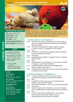 Seminario Autodeplumazione